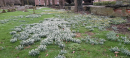 The Churchyard in Winter