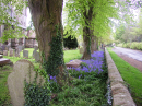 The churchyard in Spring