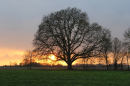 A sunset from the churchyard