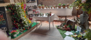 Flower Display 8